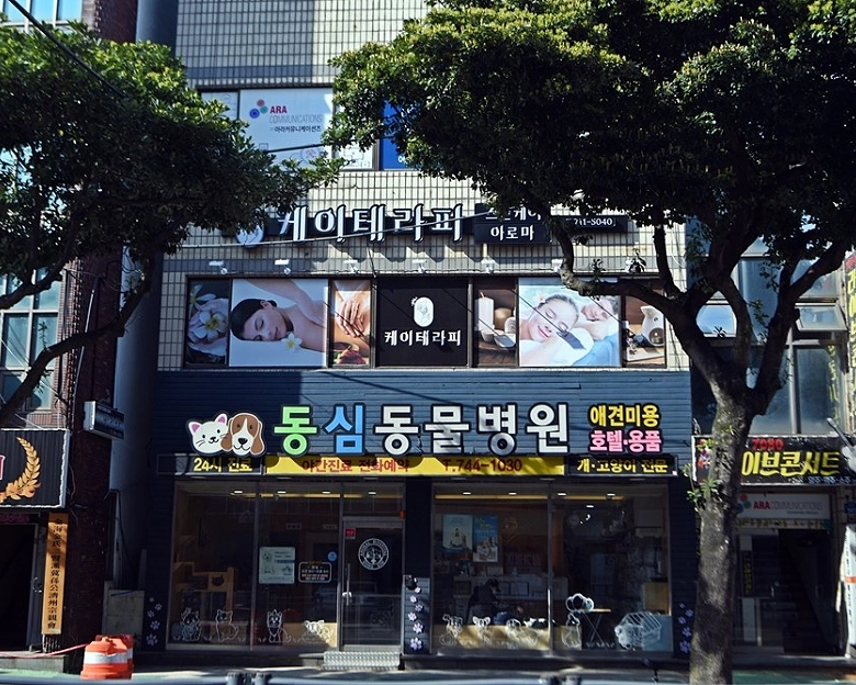 썸네일 2